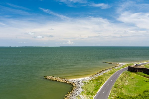 Où observer les dauphins dans les eaux cristallines de la Nouvelle-Zélande ?